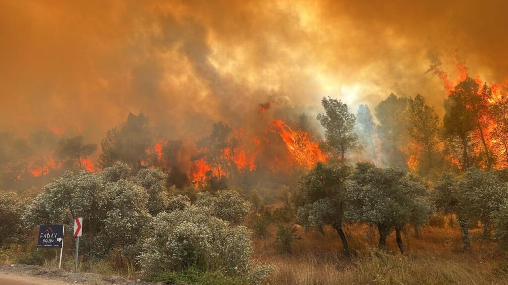 Orman Yangınları ve Küresel Isınma: İklim Değişikliğinin Alevleri